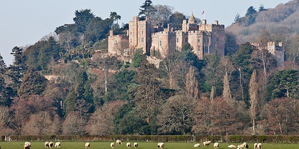 Dunster castle and its surrounding grounds