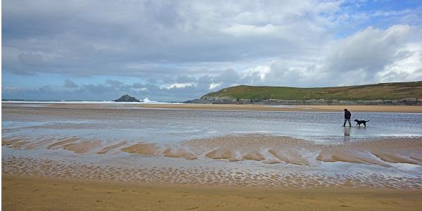 A dog and its owner walk along Crantock beach