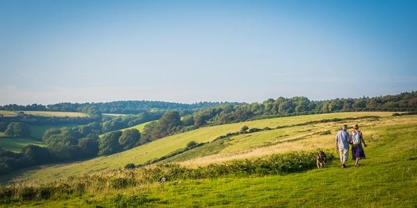 A couple walking their dog through grassland, with a spectacular panoramic view of Eggesford Forest in front of them