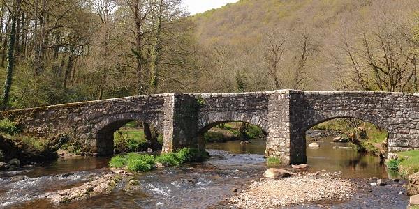 A view of Fingle Bridge