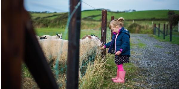 Children and adults will enjoy meeting the animals at Hesketh Farm Park