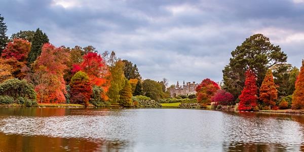 Autumn leaves at Sheffield Park in Sussex