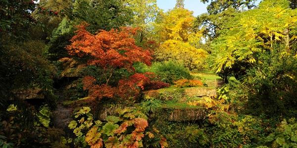 Colours at Batsford Arboretum