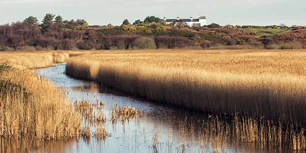 RSPB Minsmere Reserve